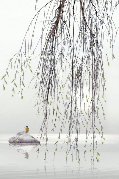 454 - MORNING ON A LAKE-7 - BONDAR MIKHAIL - ukraine.jpg